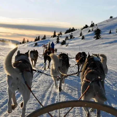 Апартаменты Arctic Escape Base L L Cozy *